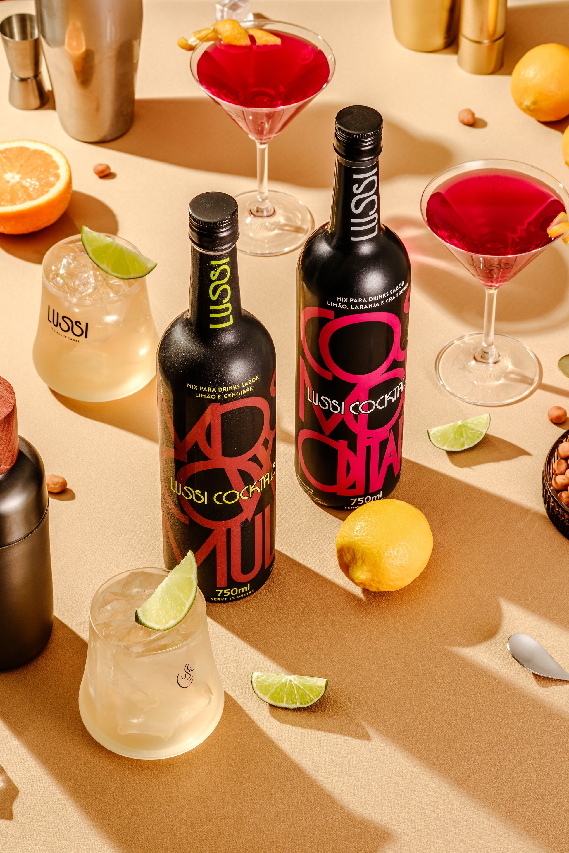 Combo Variado 4 Garrafas