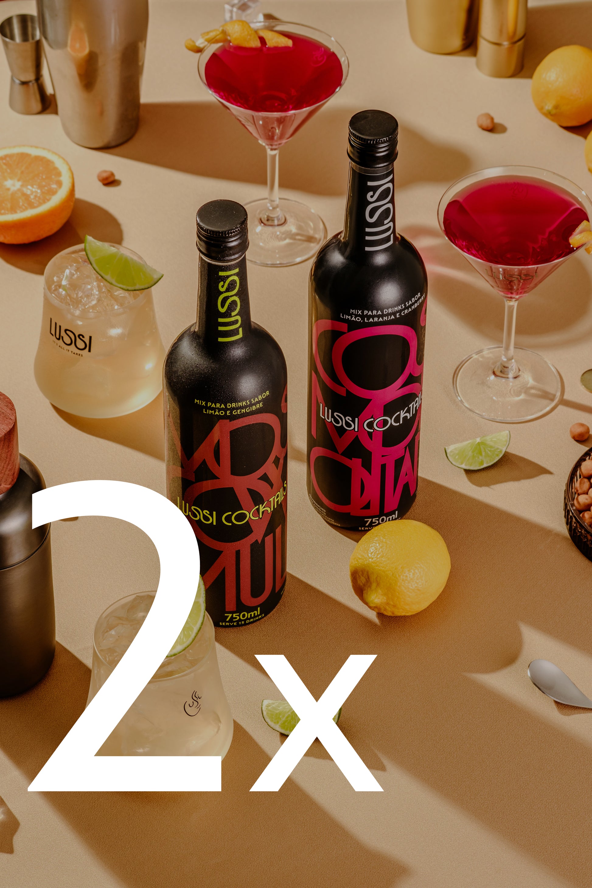 Combo Variado 2 Garrafas