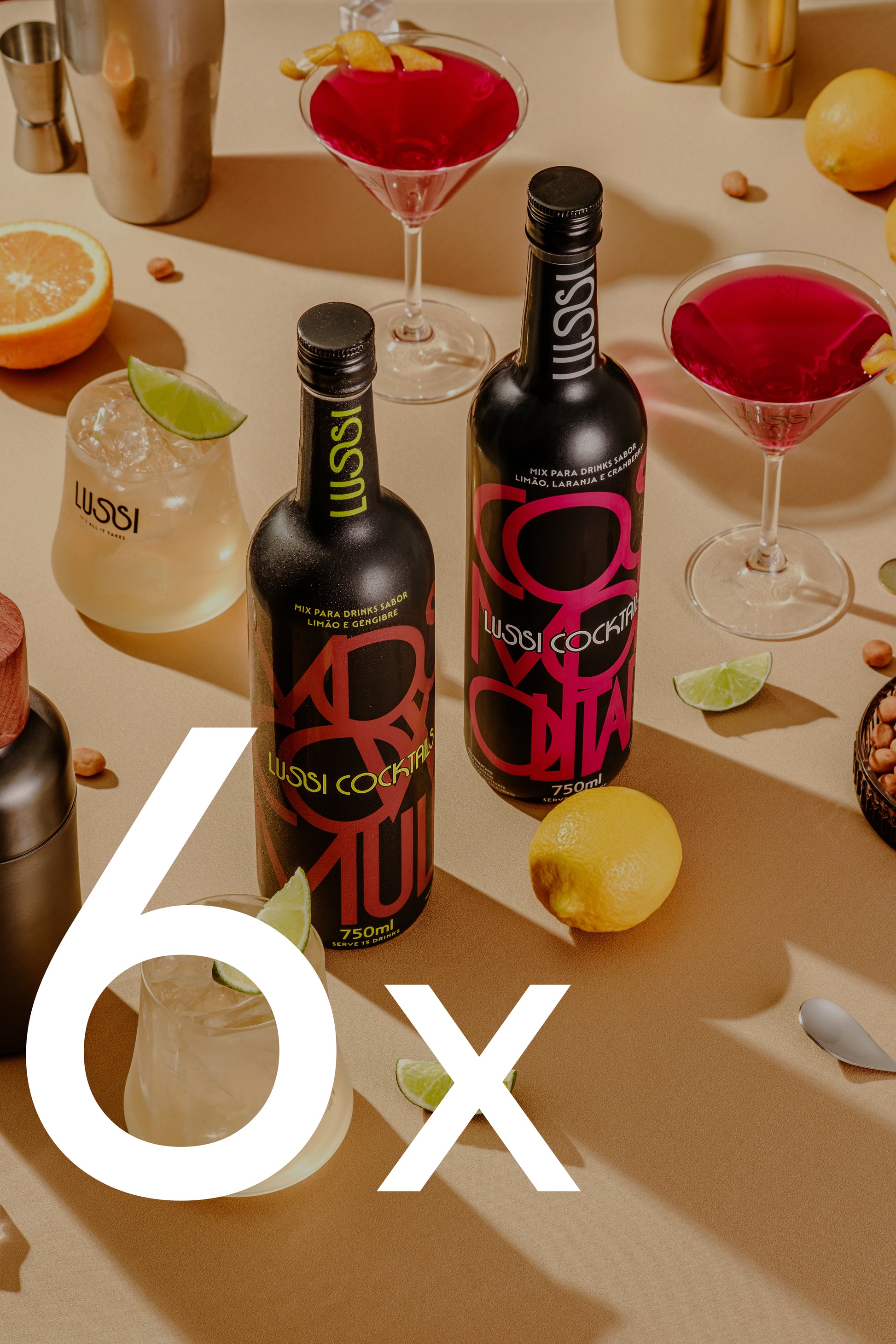 Combo Variado 6 Garrafas