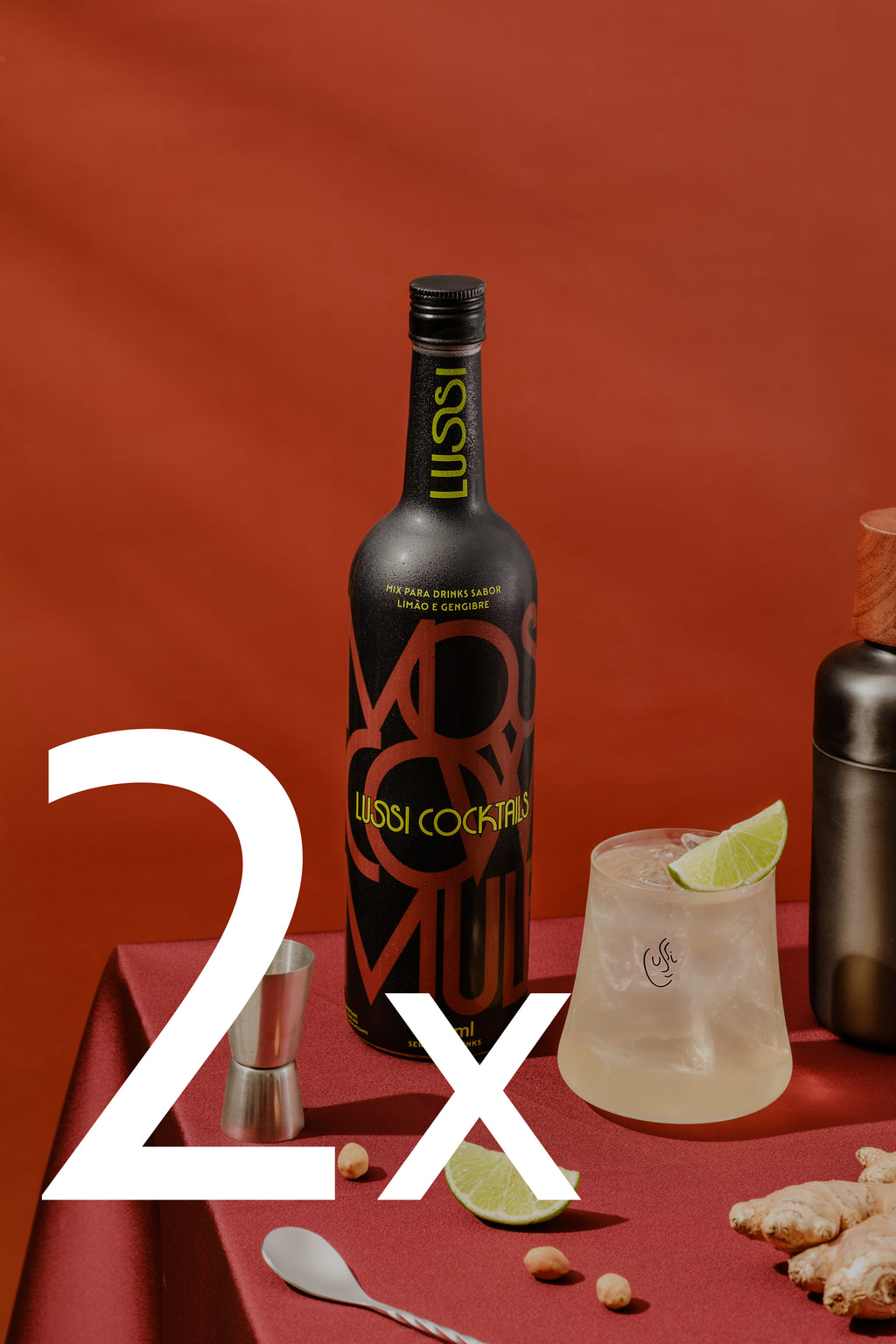 Combo Moscow Mule 2 Garrafas